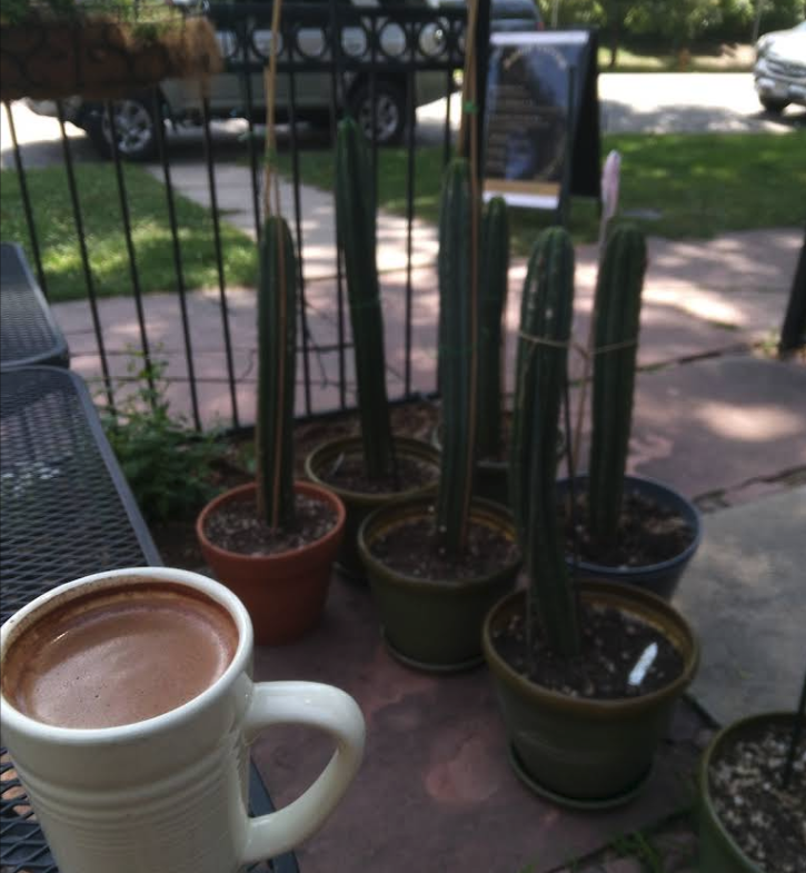 Sacred Nourishment - Plant-based Bowl