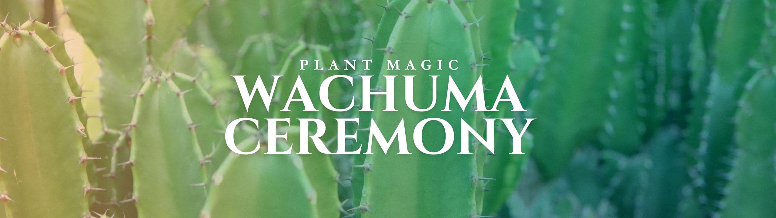 Wachuma Wisdom - November 15