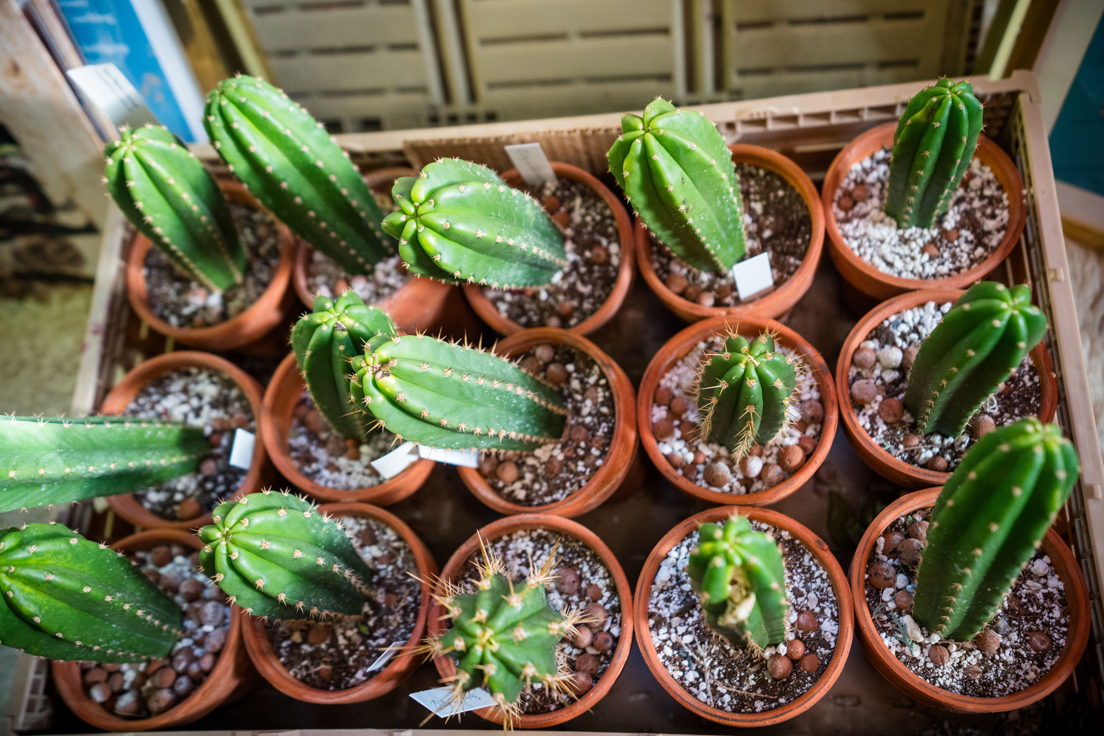 Sacred Space - Main Area